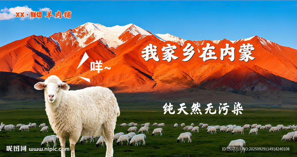 內(nèi)蒙古草原上的羊