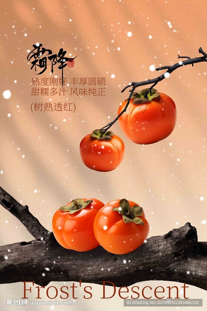 霜降節(jié)氣傳統(tǒng)活動海報