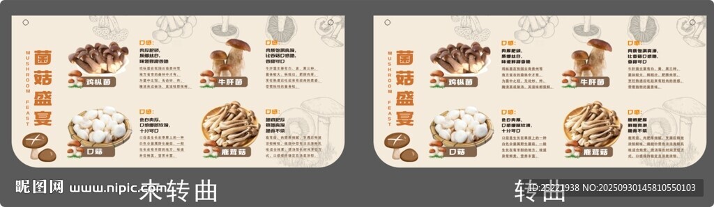 菌菇盛宴合集吊牌