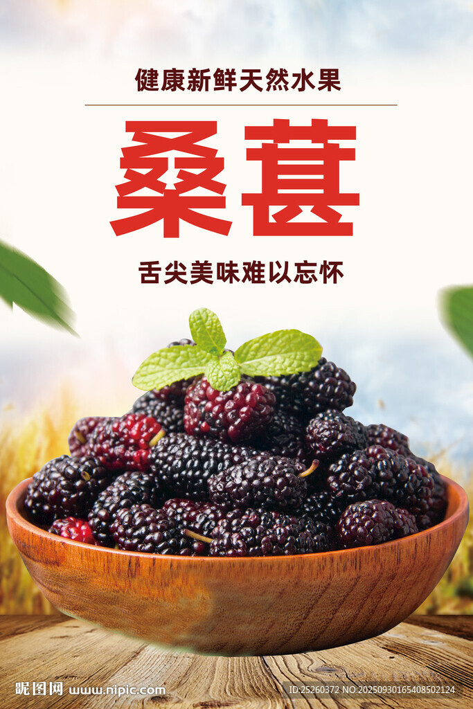 桑葚
