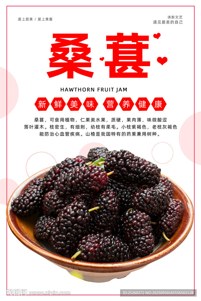 桑葚