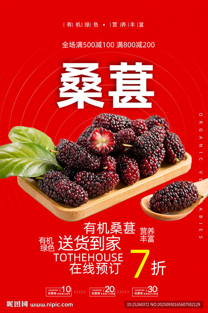 桑葚