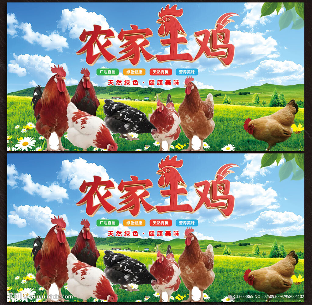 土雞