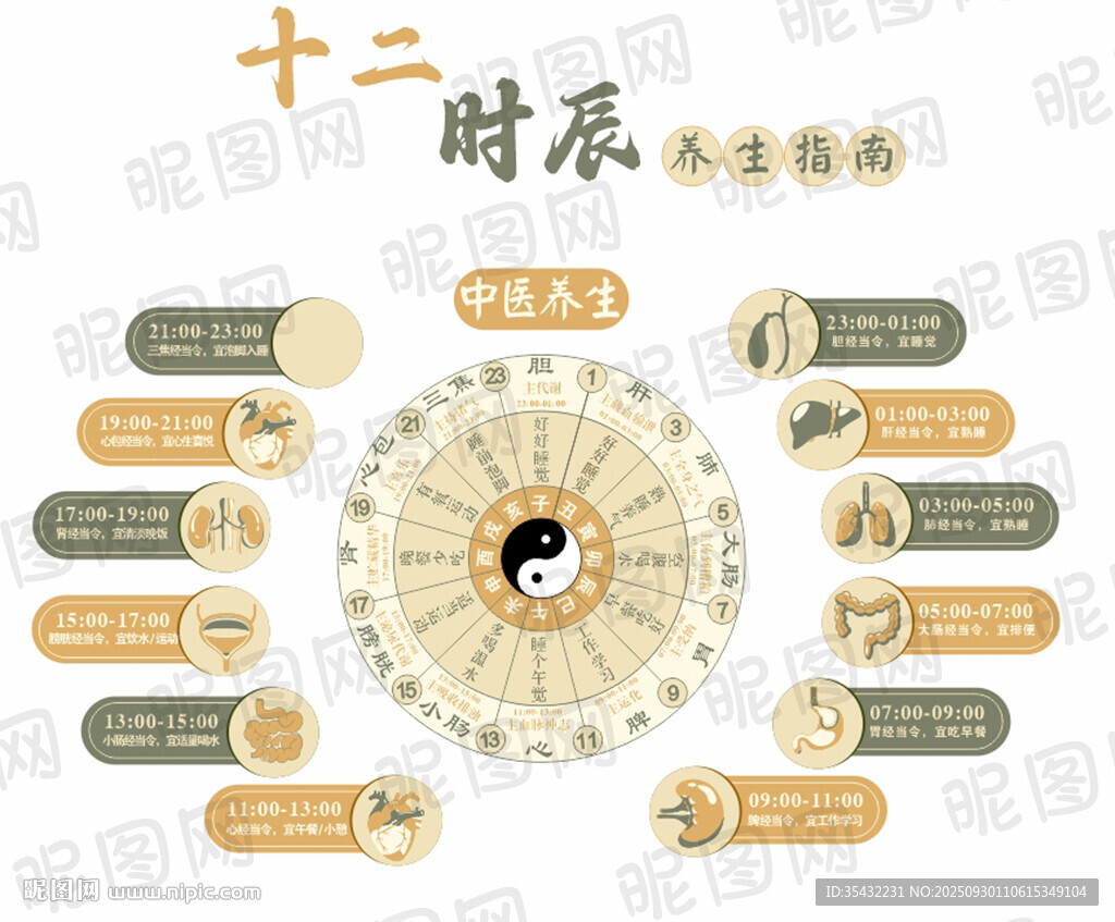 十二時辰養(yǎng)生背景墻