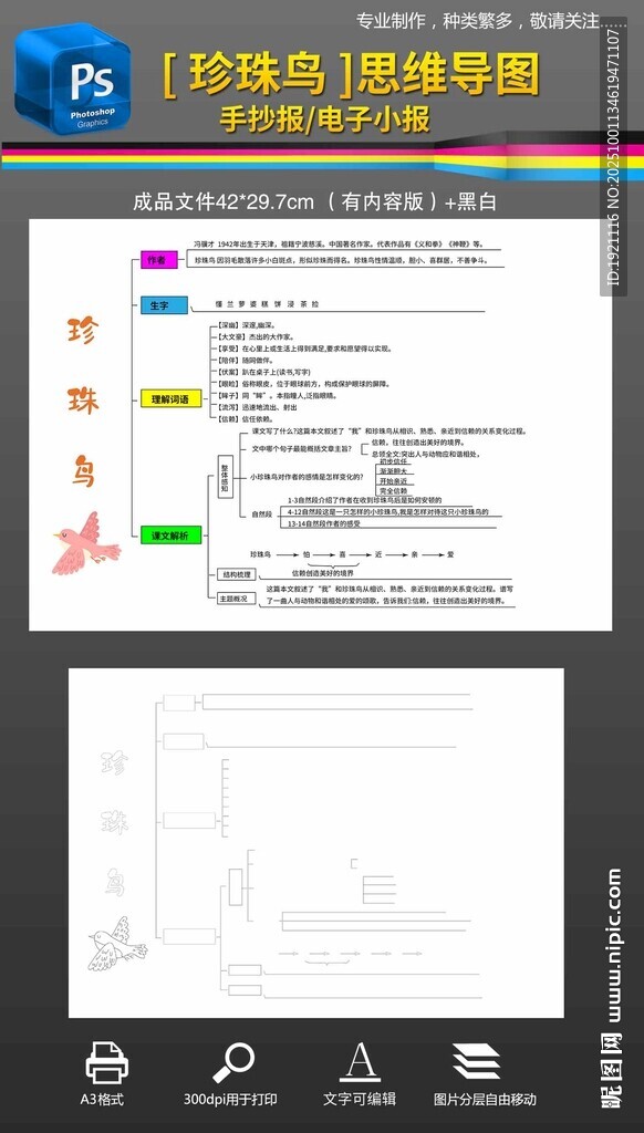 珍珠鳥(niǎo)思維導(dǎo)圖手抄報(bào)小報(bào)