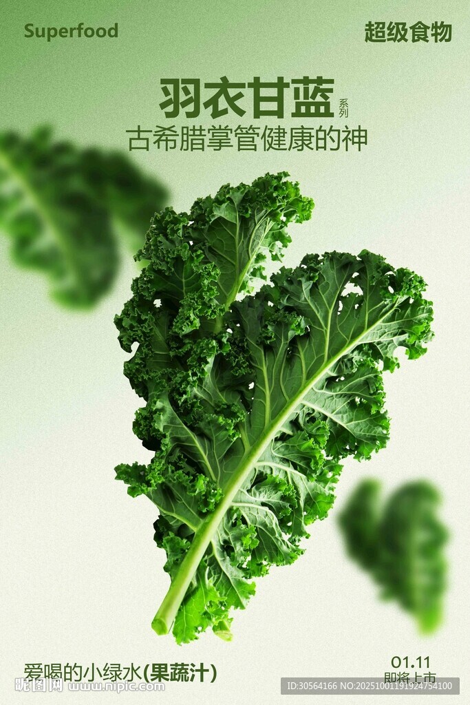 羽衣甘藍綠色蔬菜美食海報
