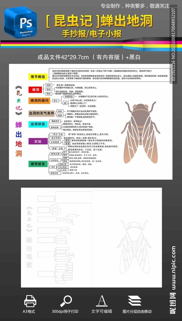 昆蟲記蟬出地洞思維導(dǎo)圖