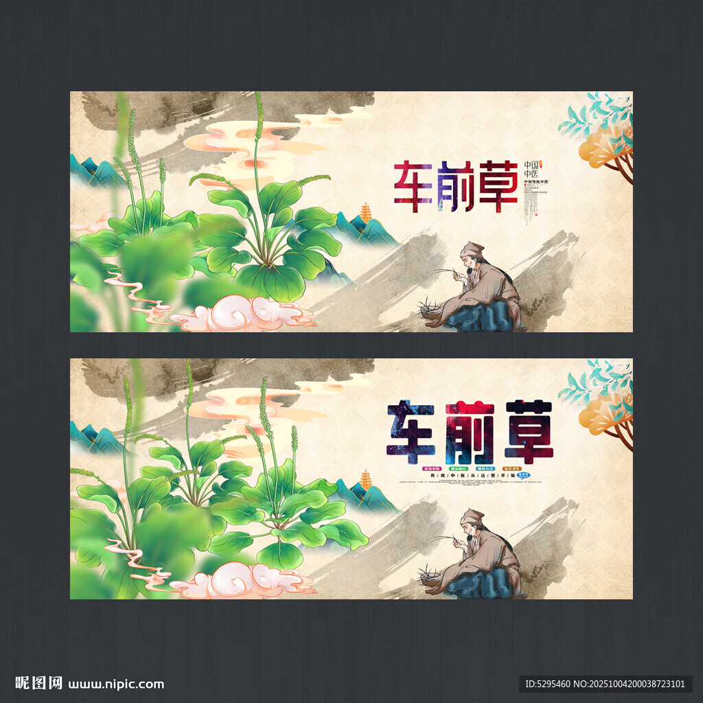 車前草