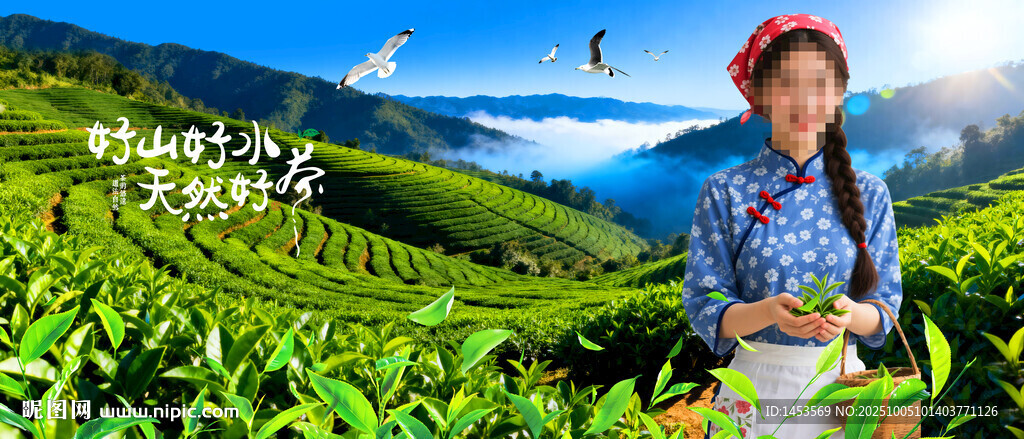 茶山