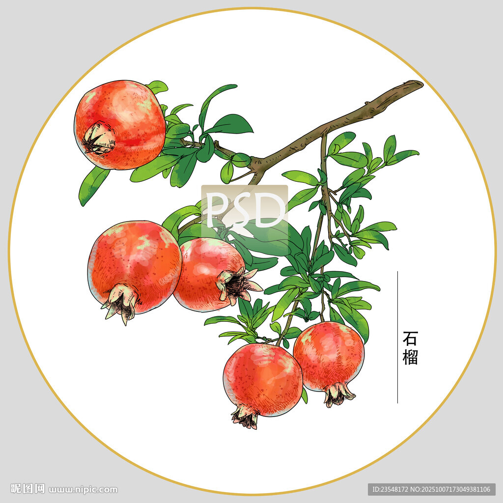 石榴包裝插畫
