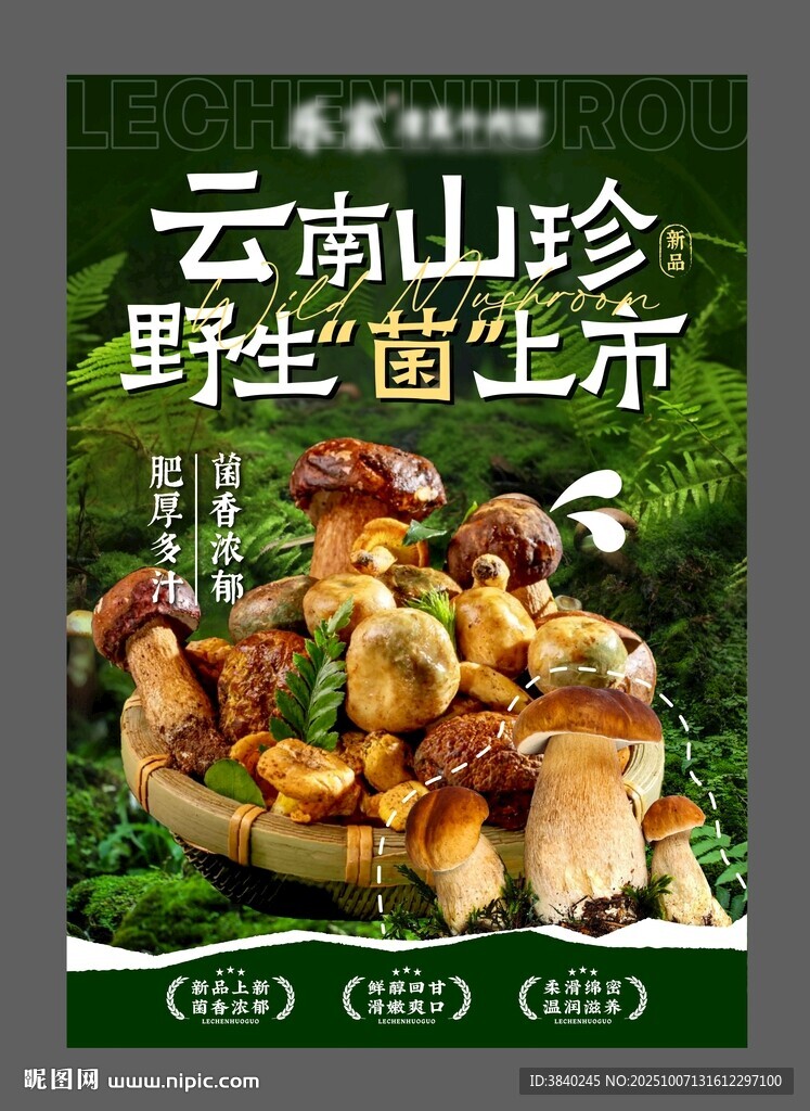 云南山珍野生菌海報(bào)