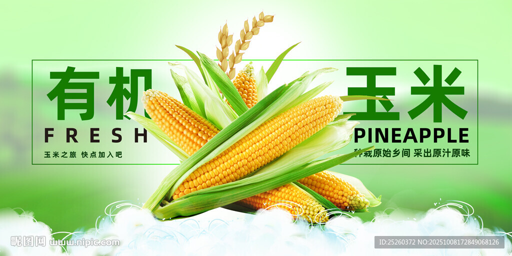 玉米