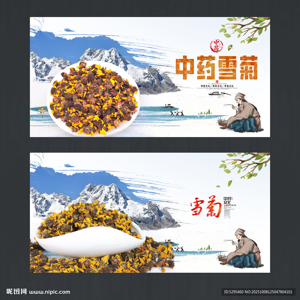 雪菊