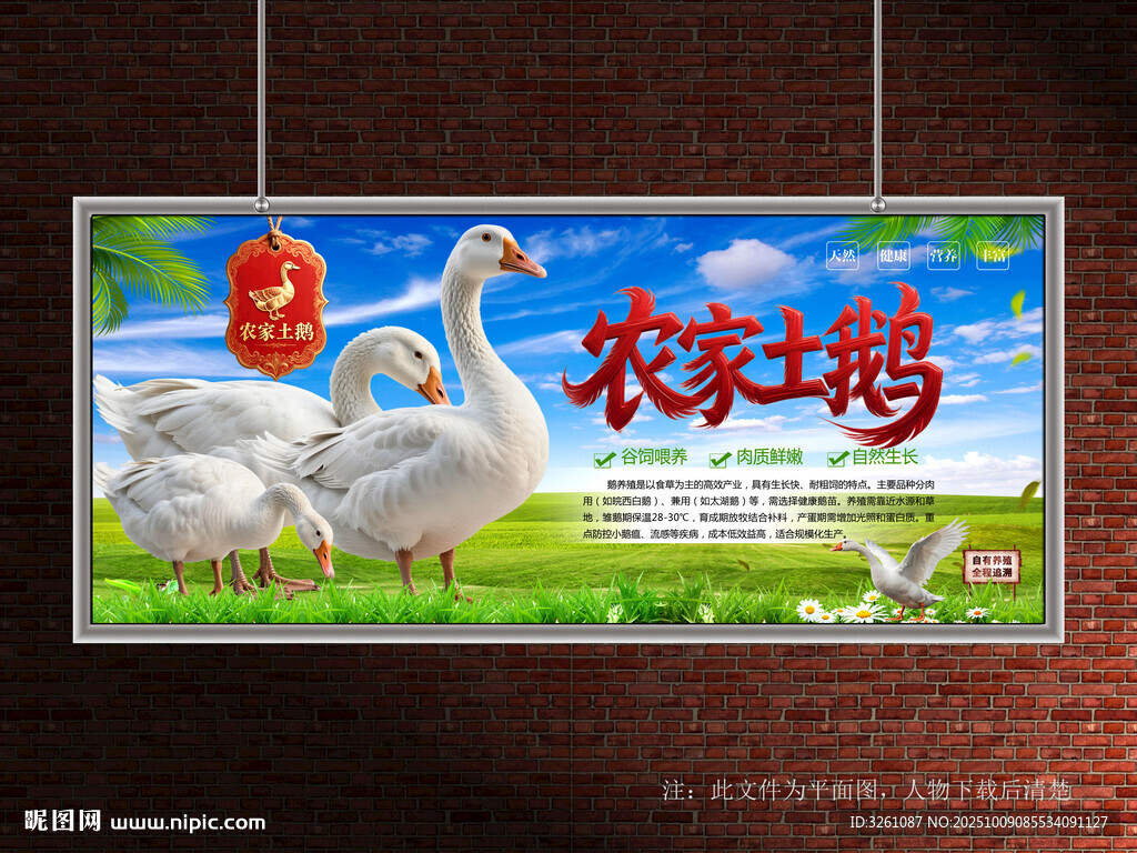 鵝養(yǎng)殖展板