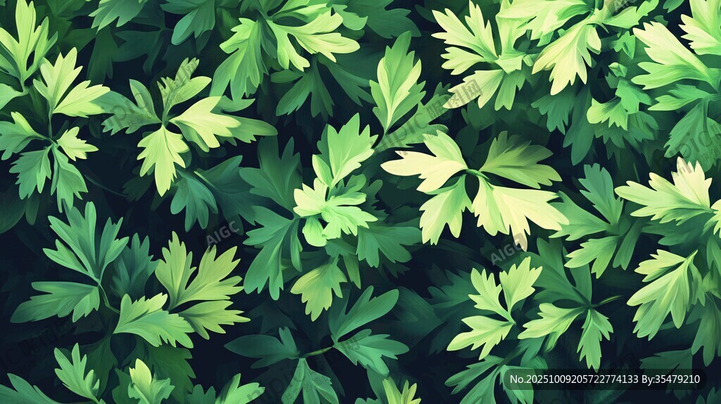 翠綠歐芹葉無縫背景圖案