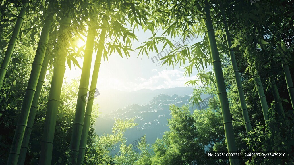 陽光灑落的靜謐竹林