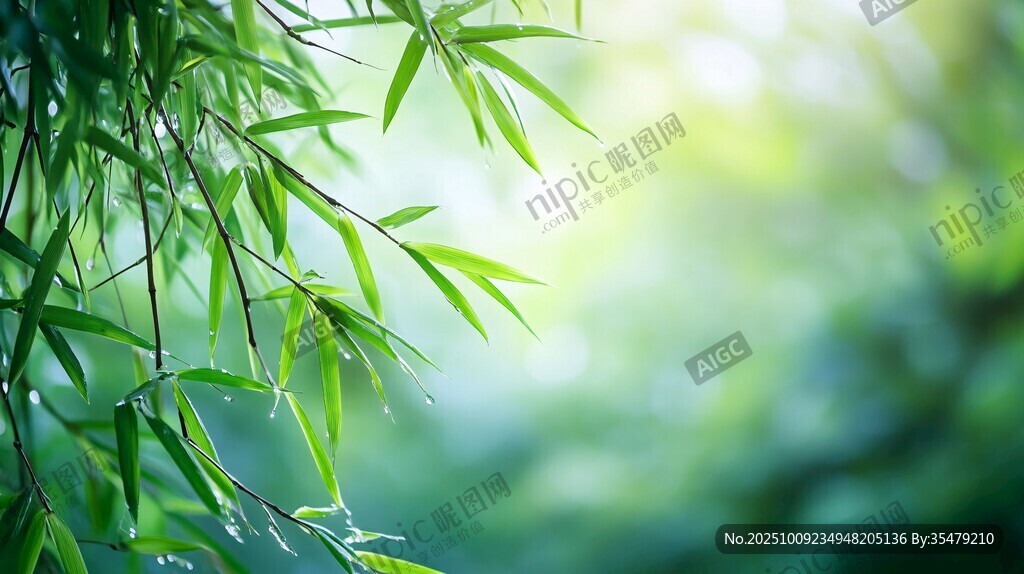 翠綠竹葉 清新自然之景