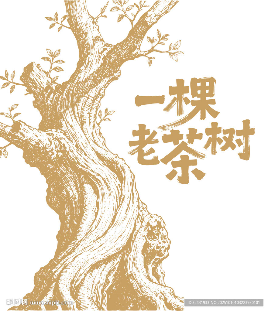 一棵老茶樹插畫圖案