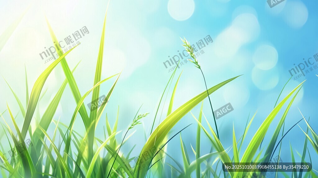 春日嫩綠青草藍天背景圖
