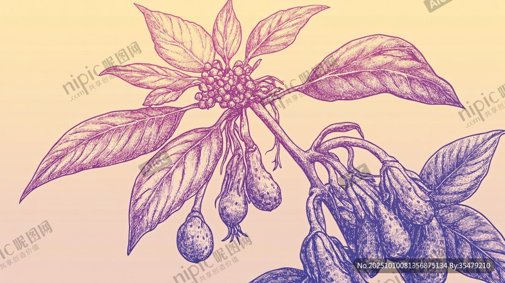 手繪植物果實(shí)枝葉圖