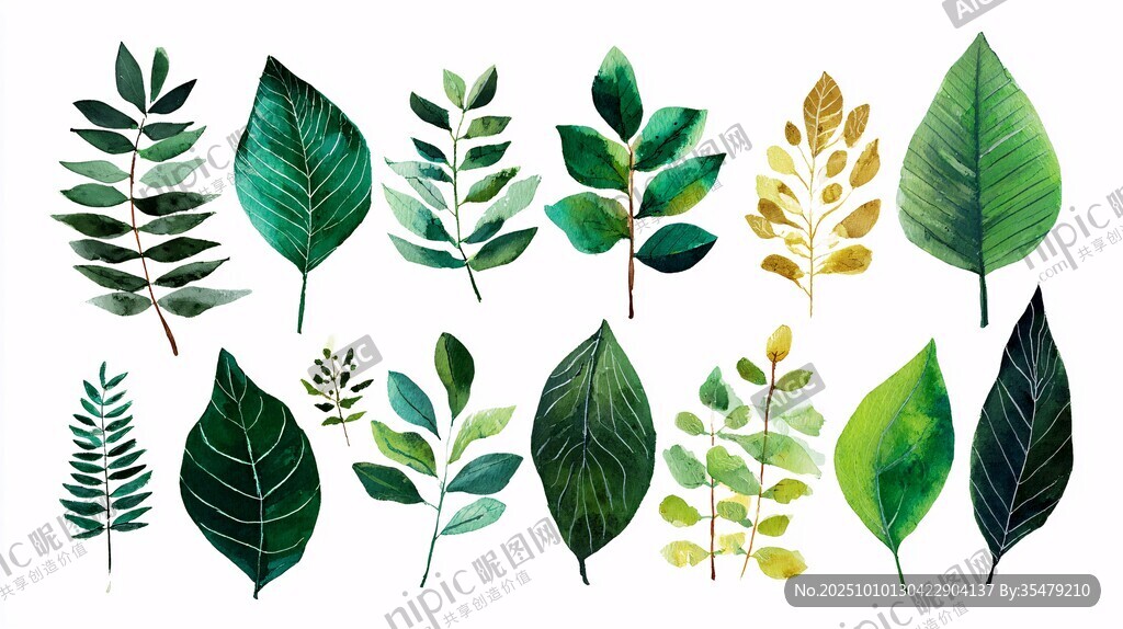 水彩綠葉集合插畫素材
