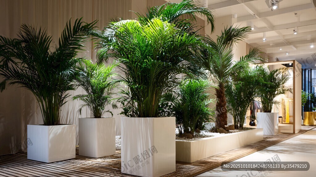室內(nèi)綠植裝飾展示場景