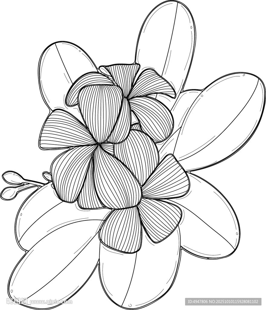 手繪簡約花朵線條插畫 矢量圖