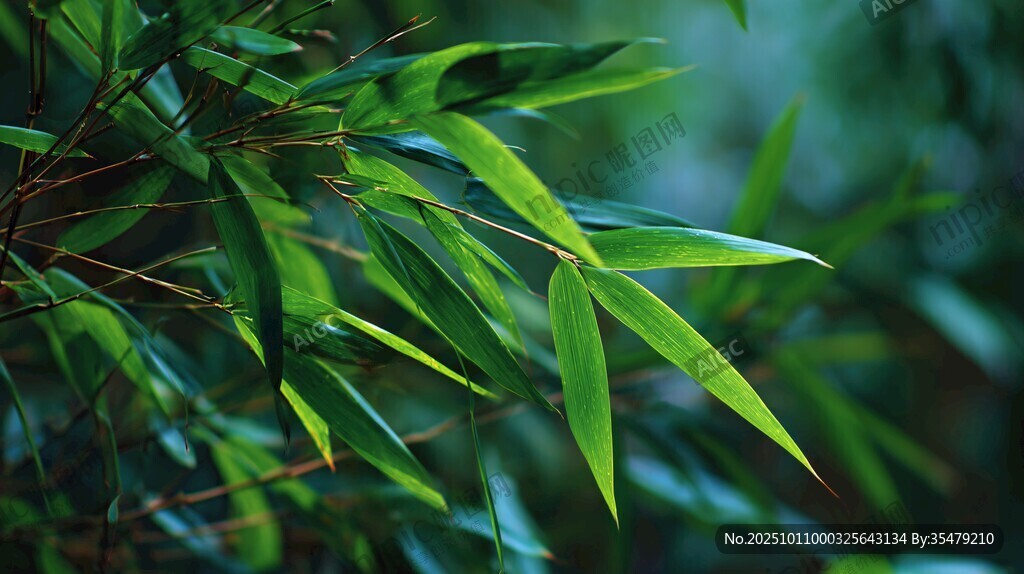 翠綠竹葉特寫