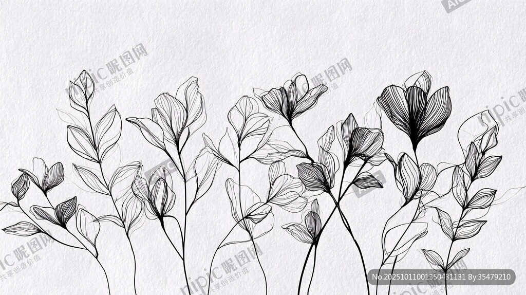 黑白花卉線條插畫