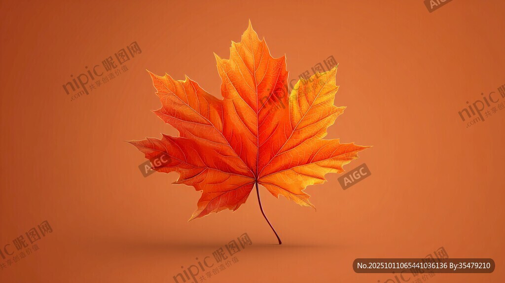 橙紅楓葉獨(dú)綻秋之韻