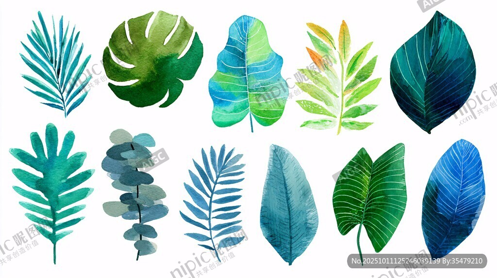 水彩風(fēng)熱帶植物葉片集合