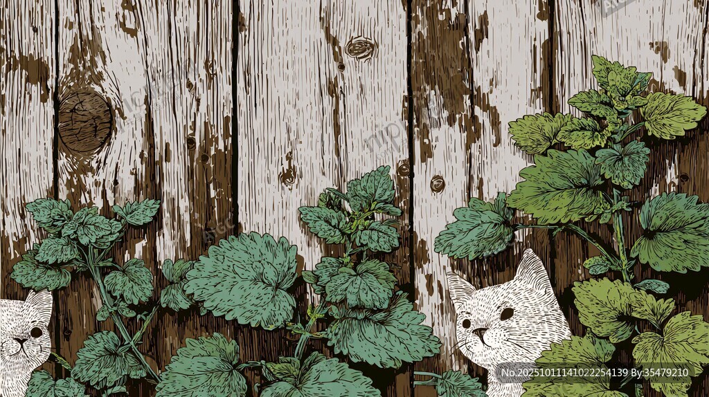 木墻旁的貓咪與綠植