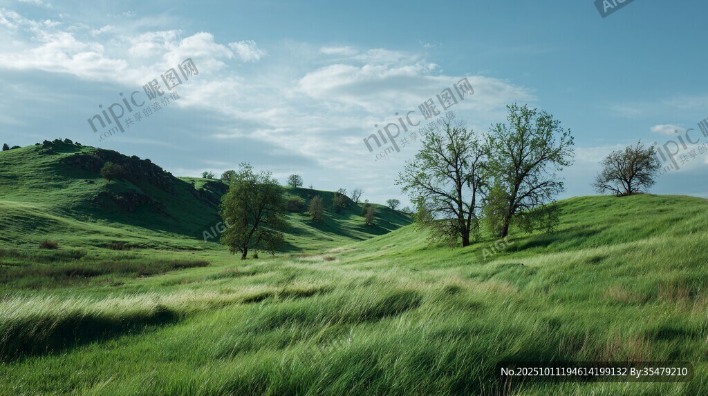 草原風(fēng)光 綠意盎然的自然景致
