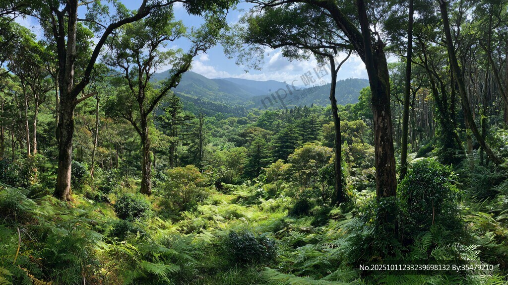 山林綠野間的自然盛景