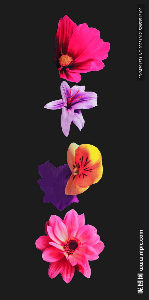 定位花