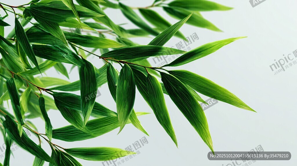 清新翠綠竹葉特寫