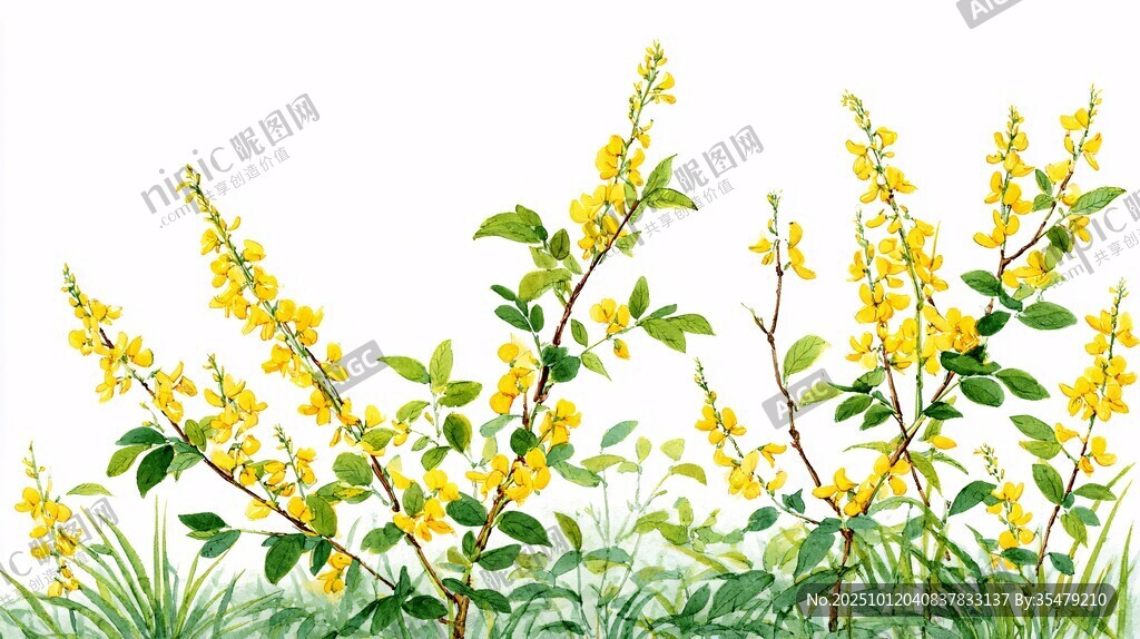 溪邊綻放的金黃小花