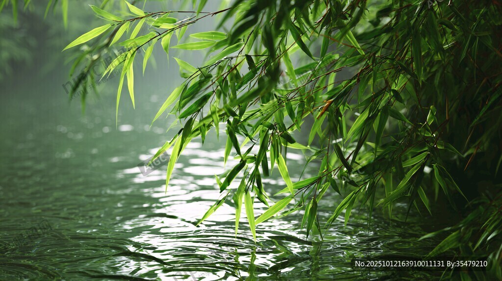柳影拂水的清新自然景致