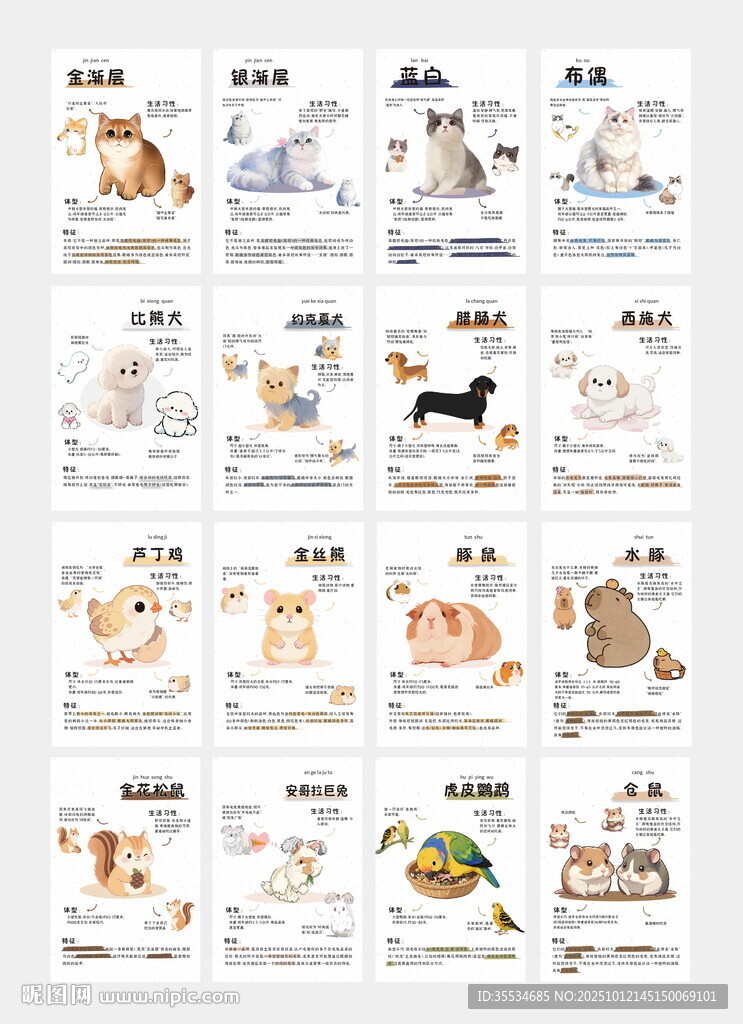 動(dòng)物園寵物館小動(dòng)物宣傳介紹科普