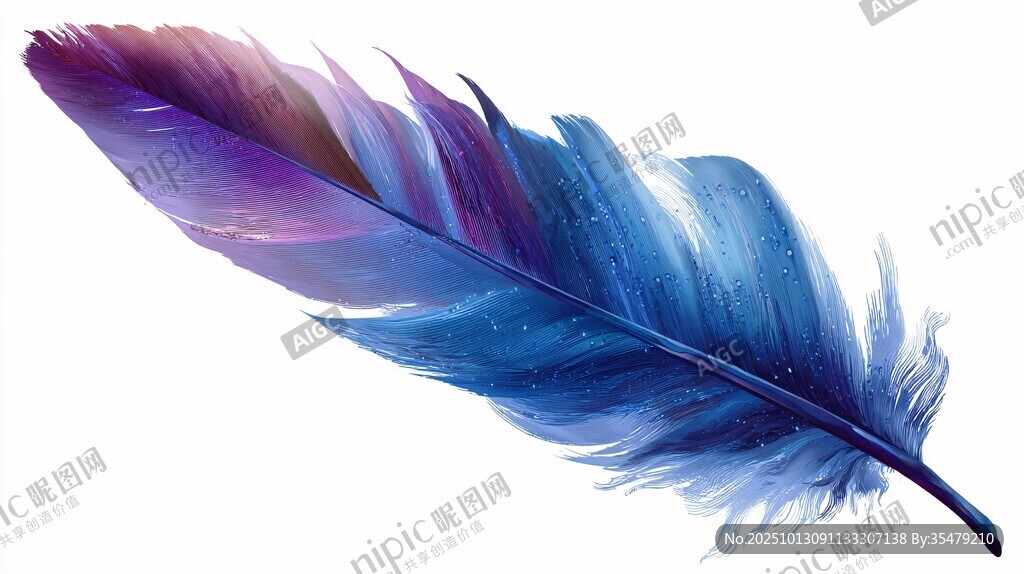 夢(mèng)幻藍(lán)紫色羽毛插畫