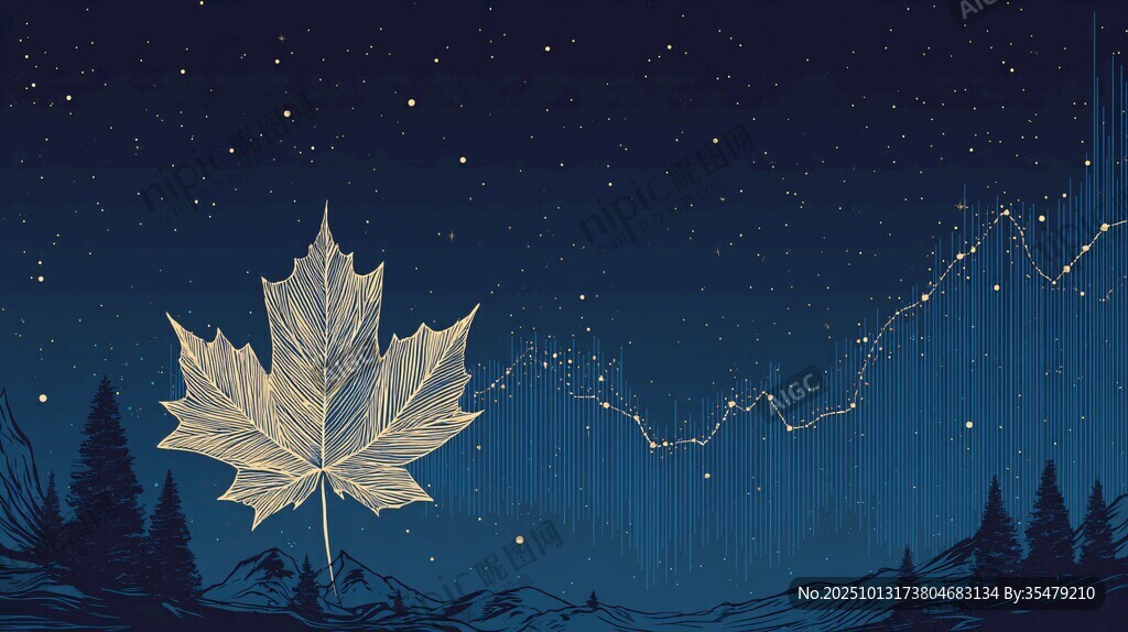 夜空中的璀璨楓葉美景