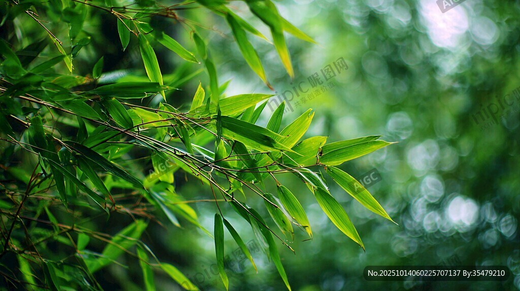 翠綠竹葉 清新自然之景