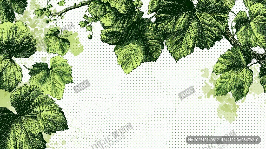 葡萄藤葉裝飾背景圖