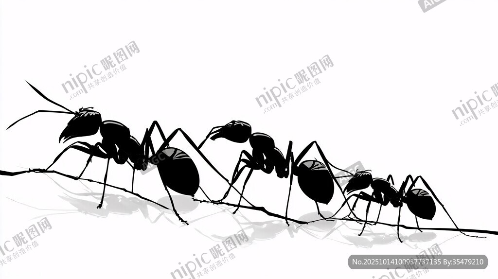 螞蟻隊列行進圖