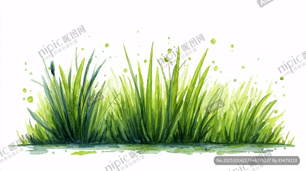 清新水彩風(fēng)綠色草叢插畫