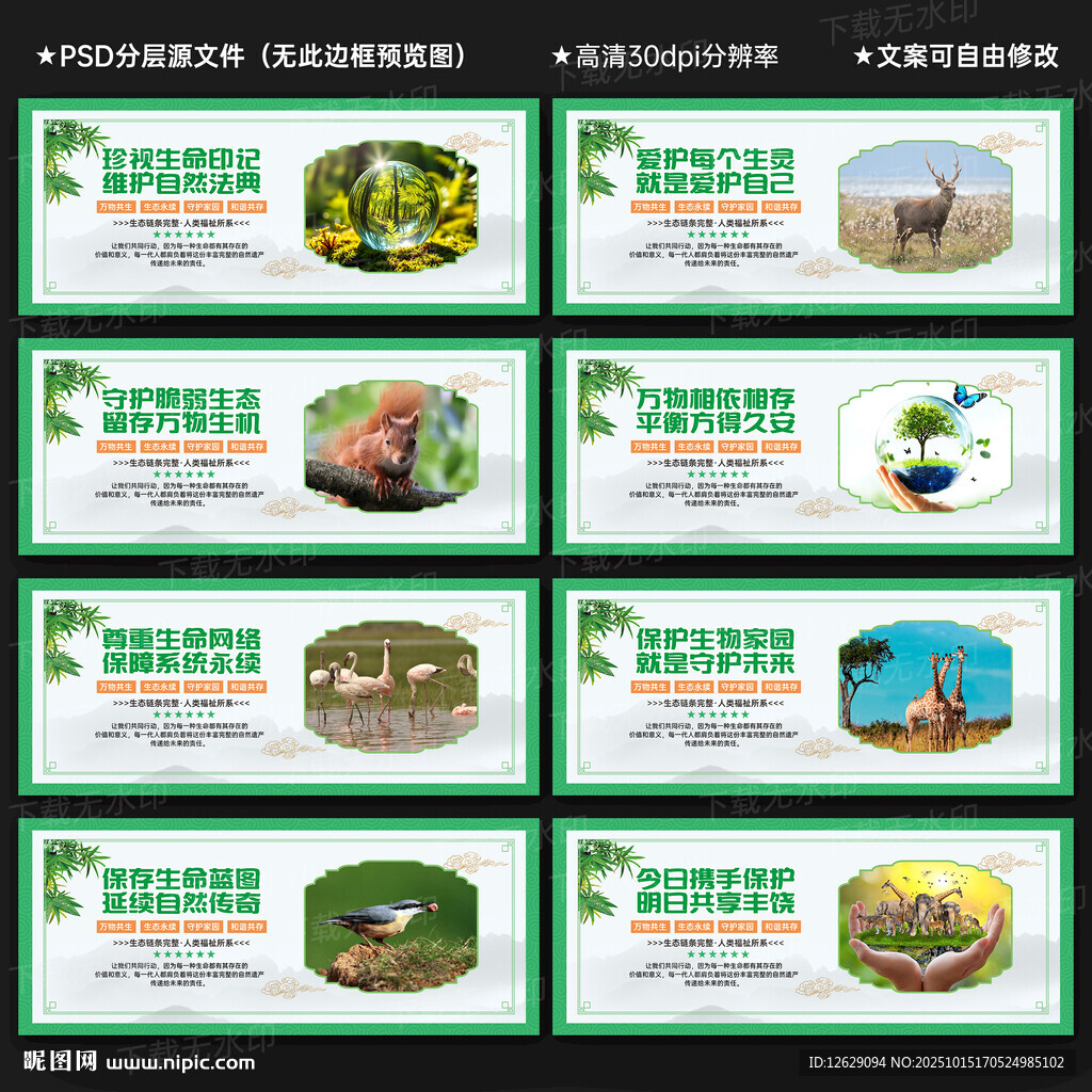 生物多樣性保護(hù)宣傳展板