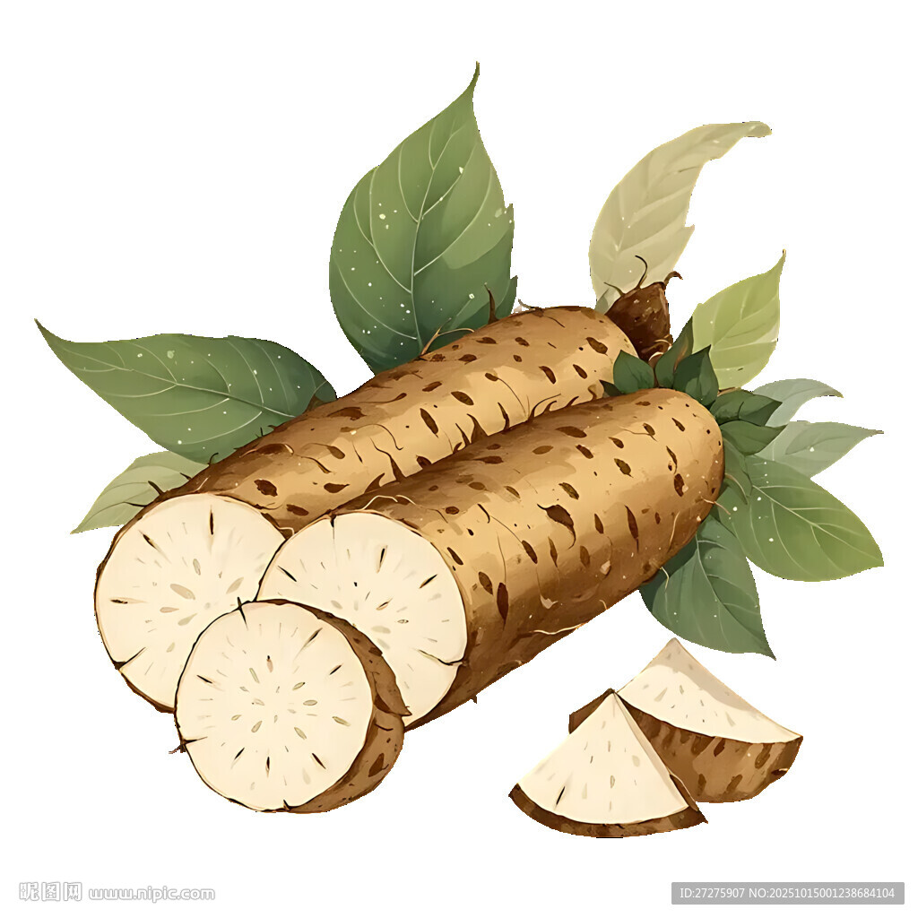山藥插畫免扣素材