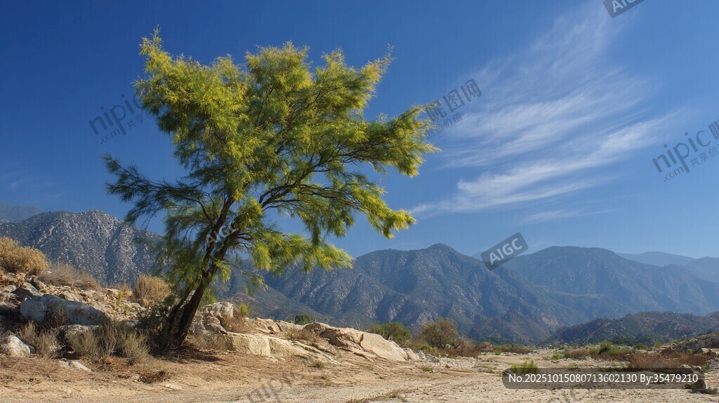 荒野孤樹伴遠山藍天
