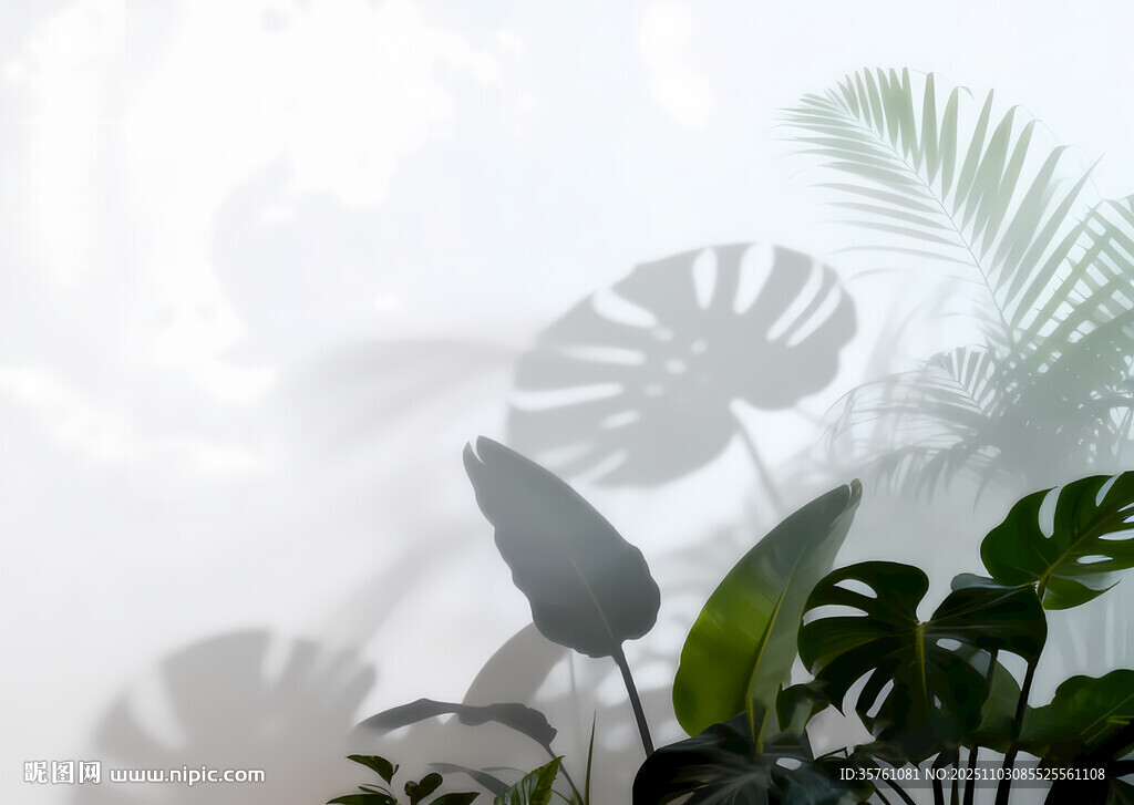 霧氣磨砂膜效果綠植貼圖