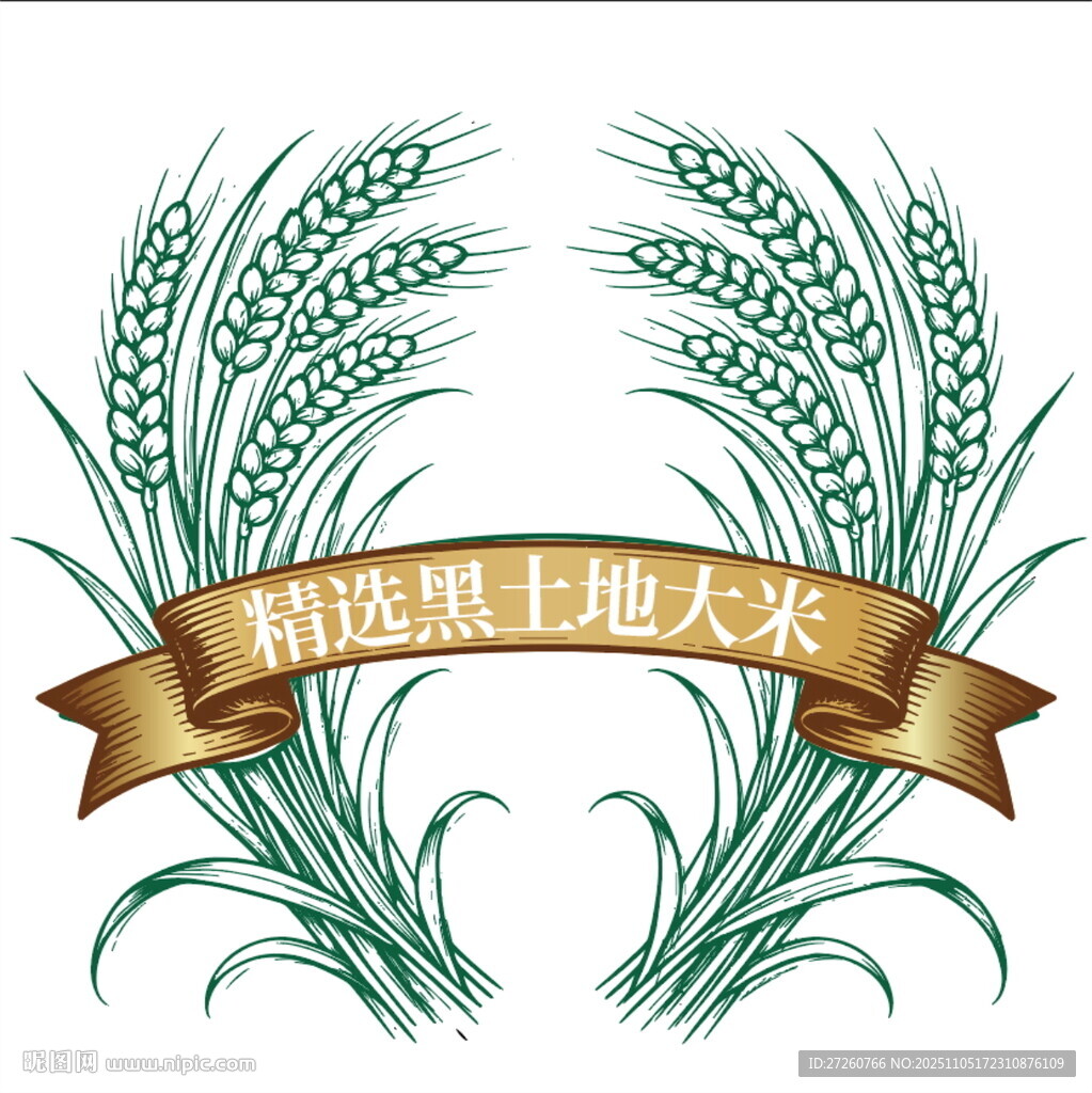 水稻麥子插畫(huà)